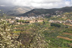 147-Druze village in the Golan Heights