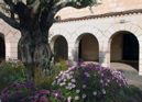 45-Courtyard at the Church of the Multiplication of the Loaves and the Fishes