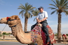 242-Riding a camel near Jericho